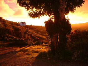 view from glendale toy museum